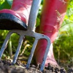 preparing-organic-soil-lg