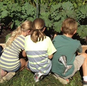 Gardening_Program