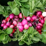 Whole Foods Market Radishes