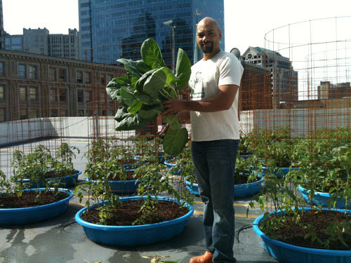 b-good-rooftop-farm