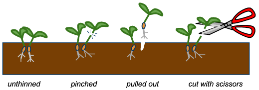 Thinning-methods