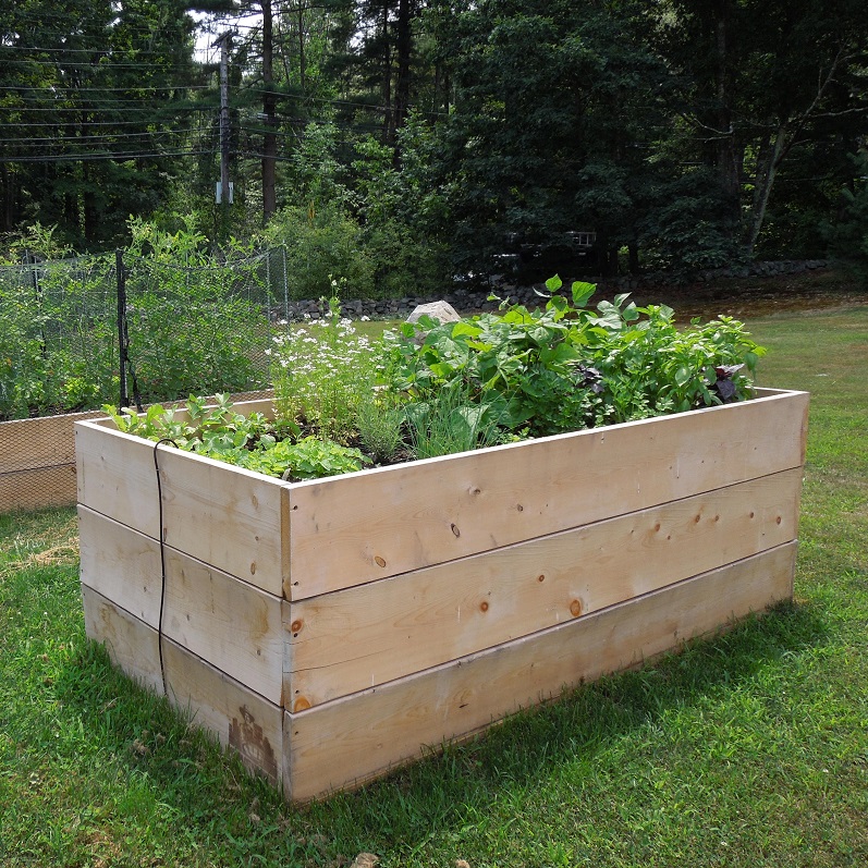 Dedham-Grows-2014-01