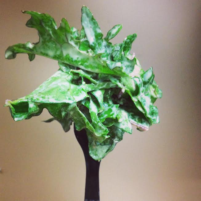 augusta_kale