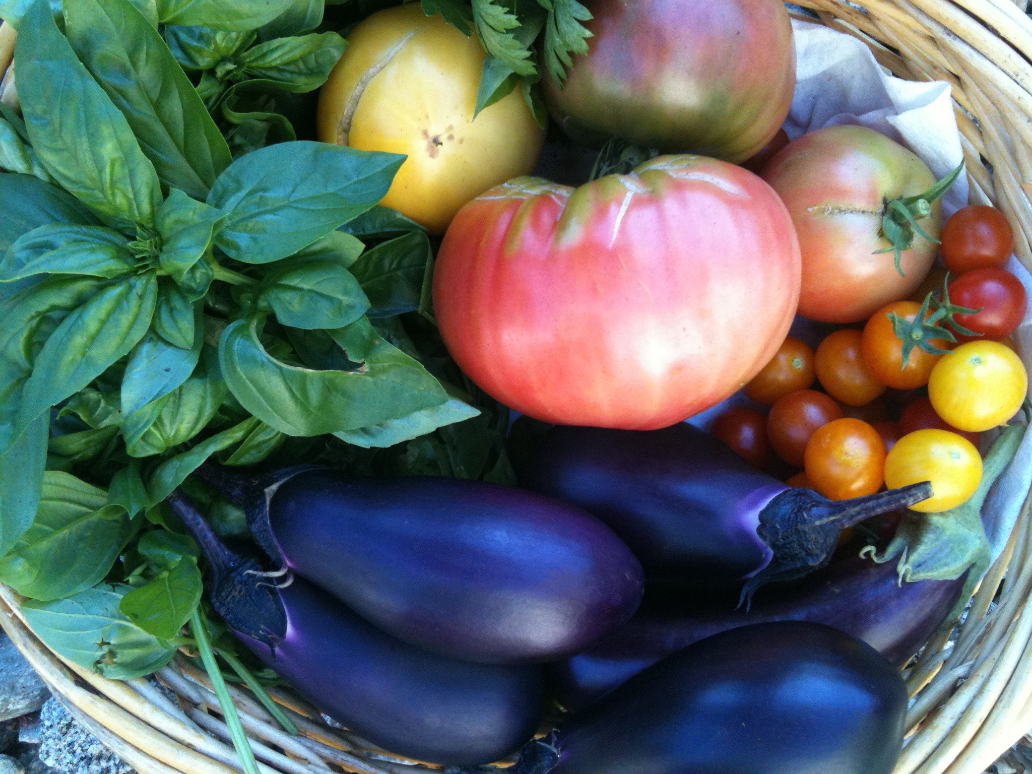 Tomato_Basket4