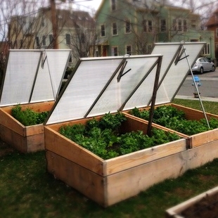 GCG-cold-frames