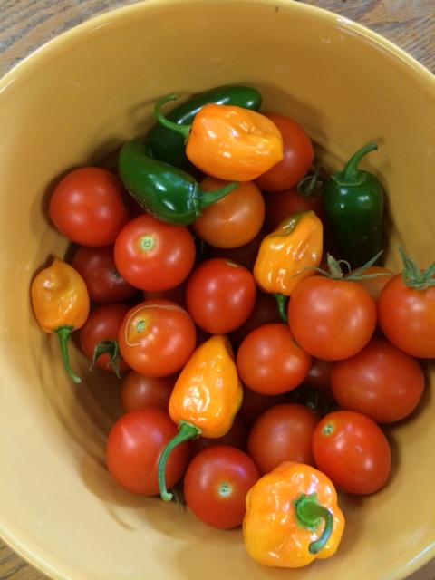 photo_5