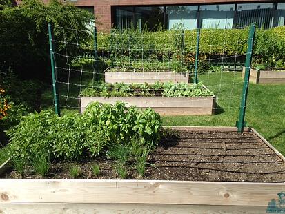 photo-4
