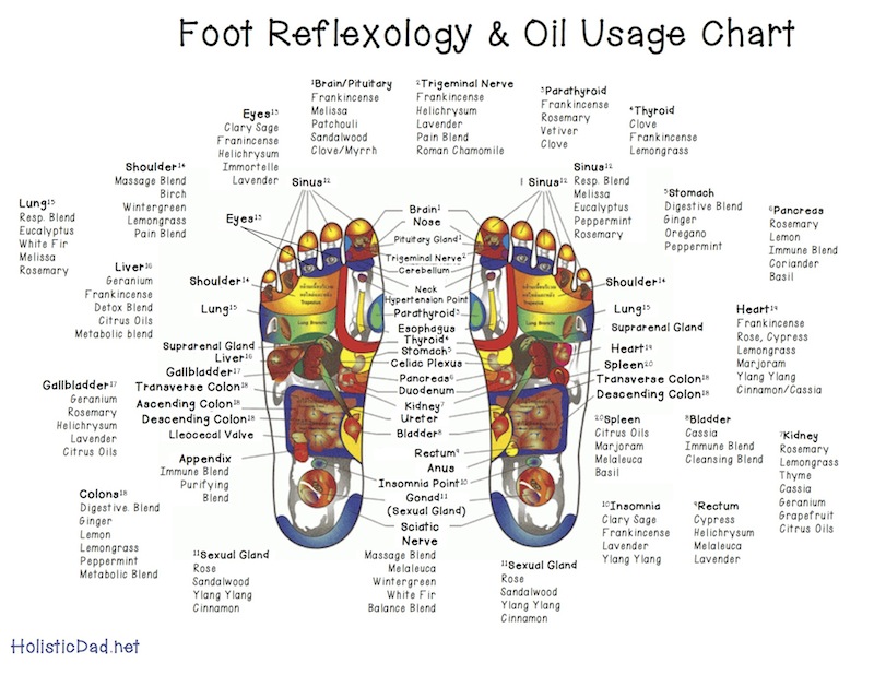 Reflexology-Chart-and-Oil-Use