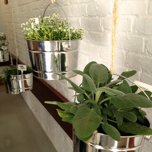 herbal-tea-garden-01