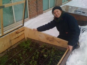 Jessie and Cold Frame