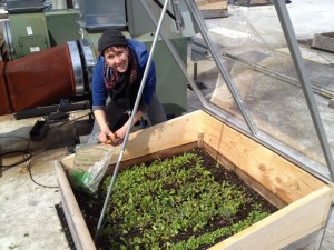 Adrienne and Cold Frame