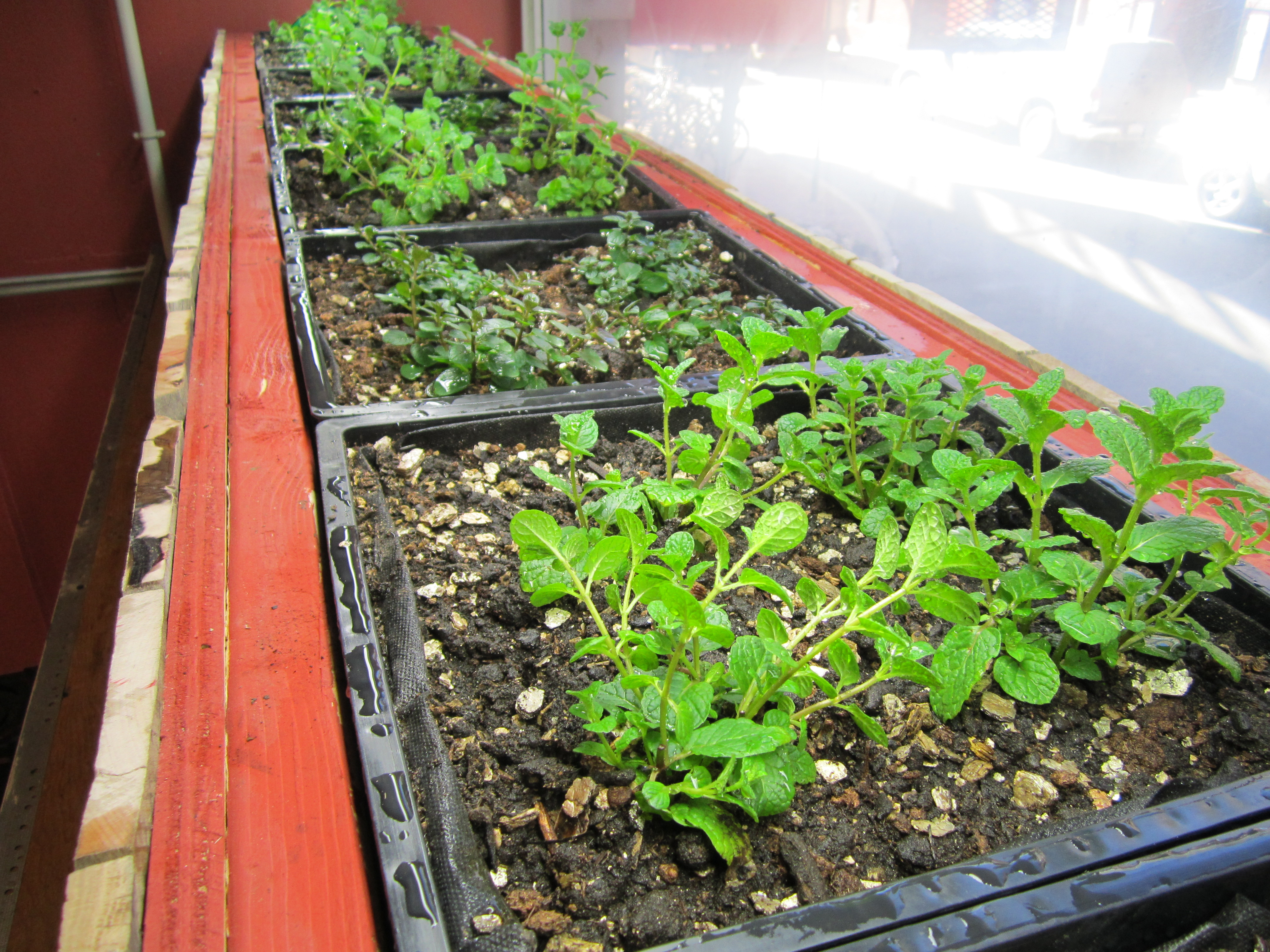 b-good-mint-crate-farm